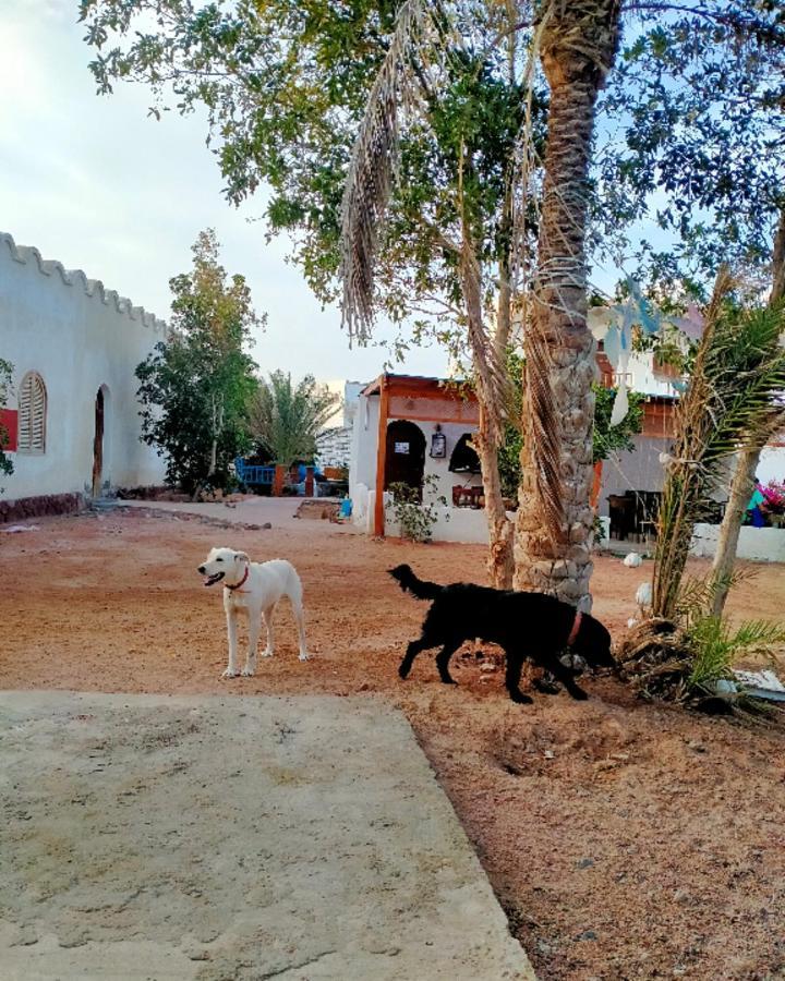 Hostel Nook Dahab Exterior foto