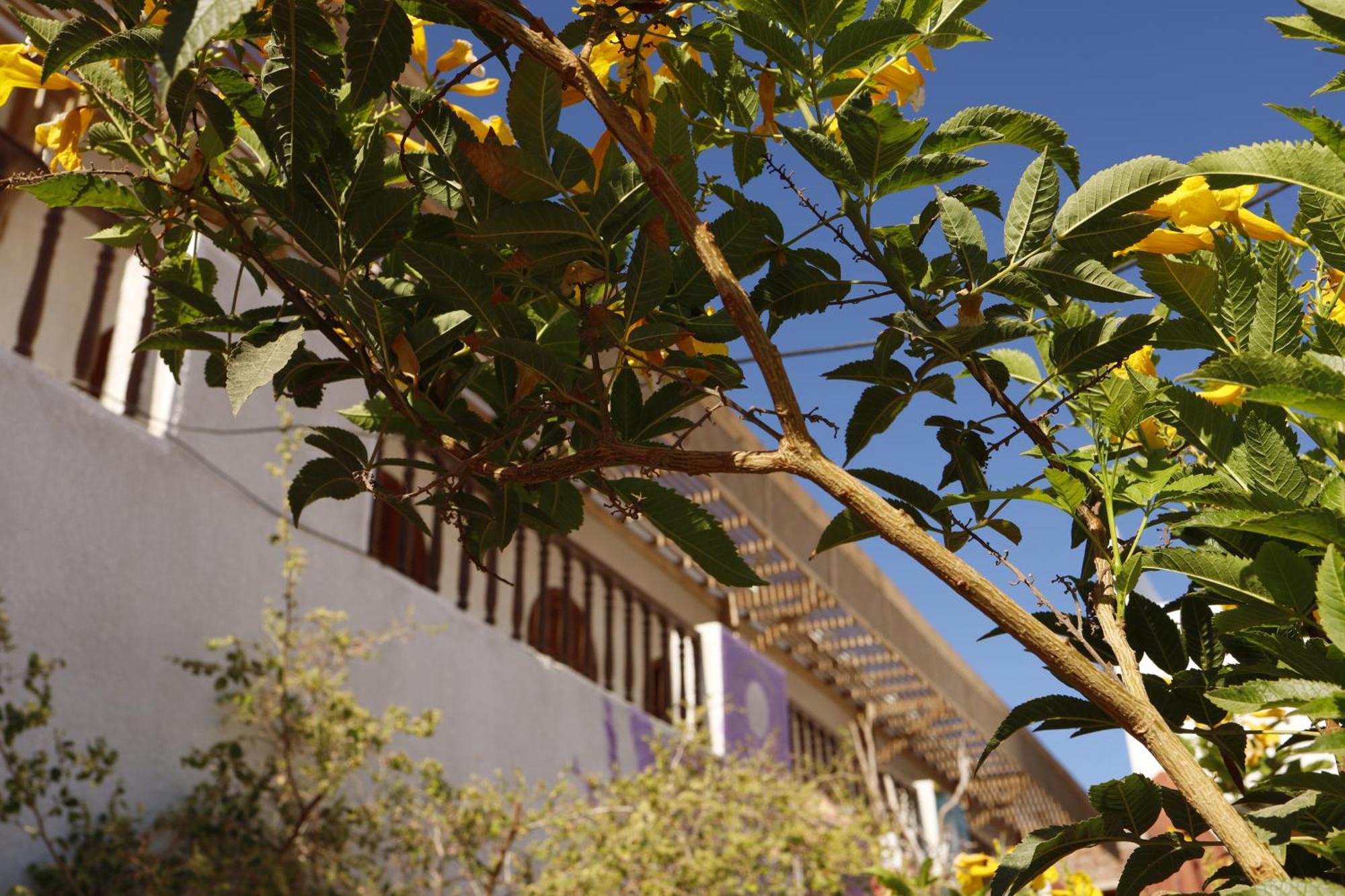 Hostel Nook Dahab Exterior foto