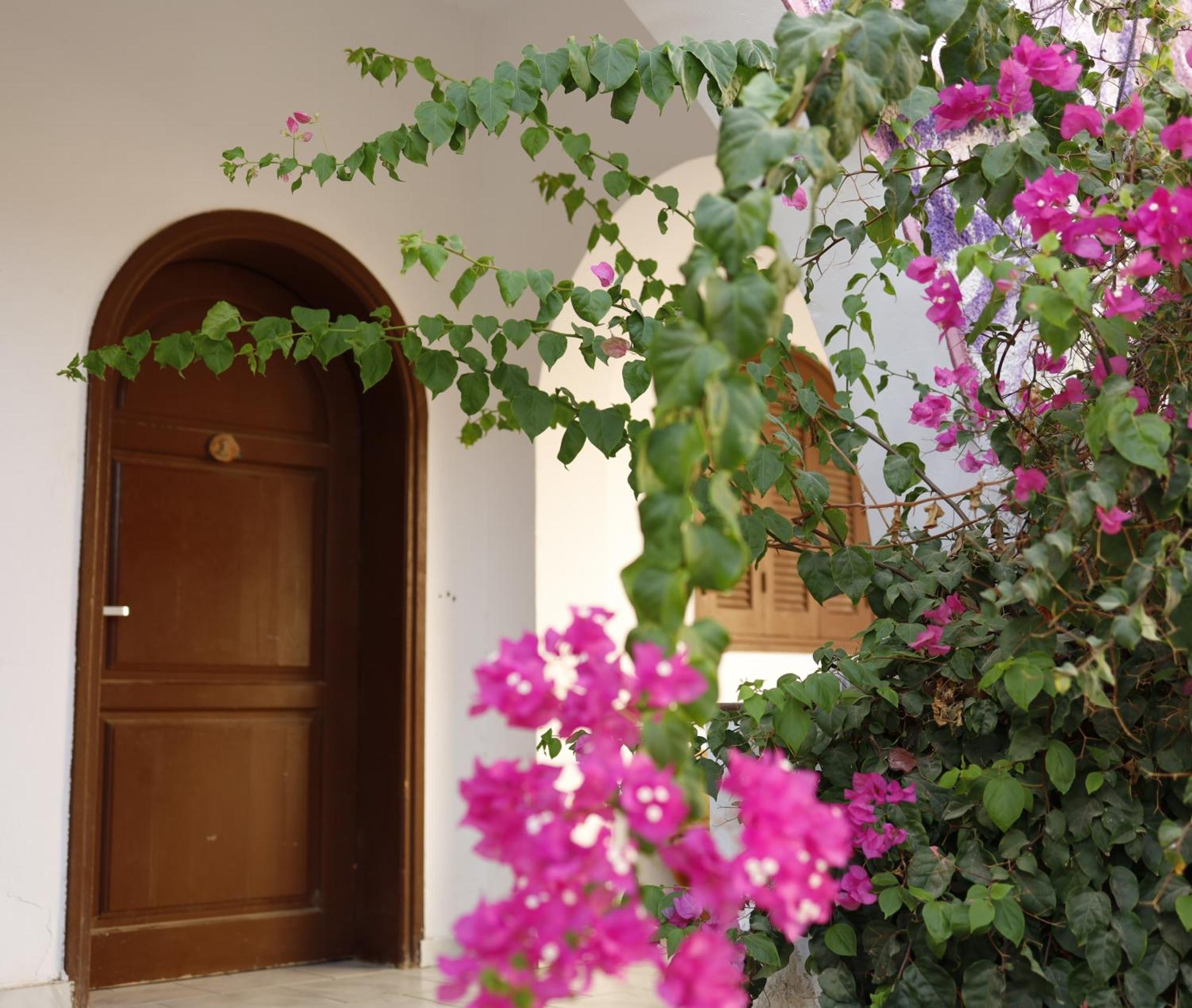 Hostel Nook Dahab Exterior foto